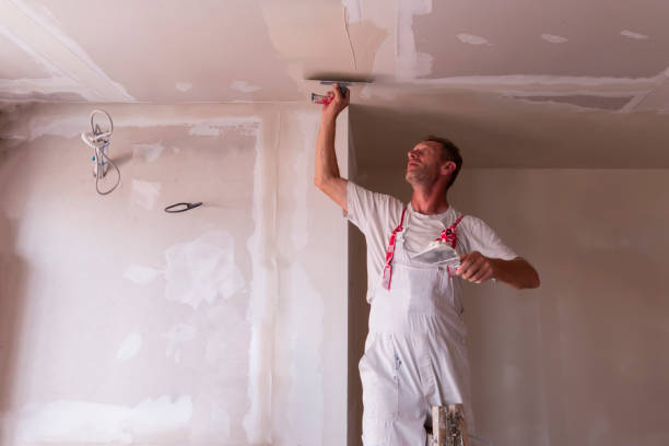 Best Water-Damaged Drywall Repair  in Tamarac, FL